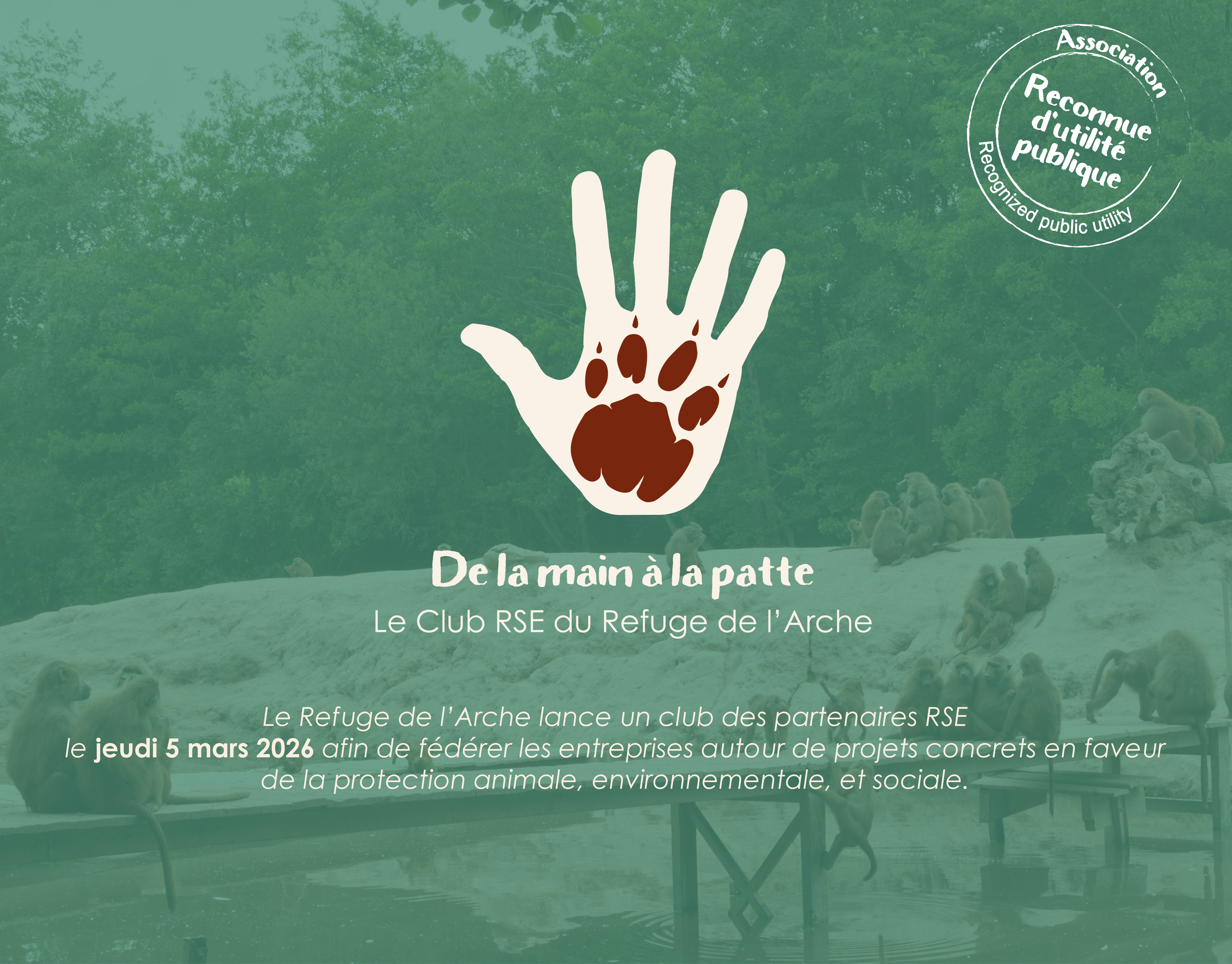 Le Refuge de l’Arche lance son club des partenaires RSE « De la main à la patte » 