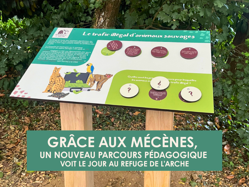 Grâce à l&rsquo;engagement des entreprises du Club des partenaires RSE, un nouveau parcours pédagogique interactif voit le jour au Refuge de l&rsquo;Arche